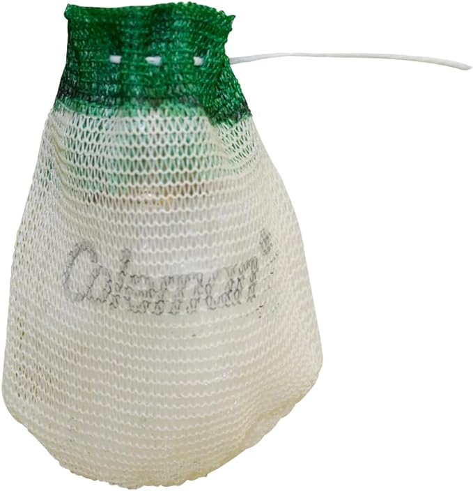 Coleman Lantern Carry Case & 4-Pack Mantles for Fueled Lantern Models Including 200, 201, 214, 220, 275