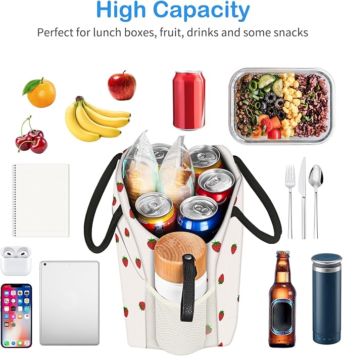 Lunch Bag Lunch Box for Women Men Reusable Insulated Lunch Tote Bag, Handbags Case High Capacity for Travel Work Picnic