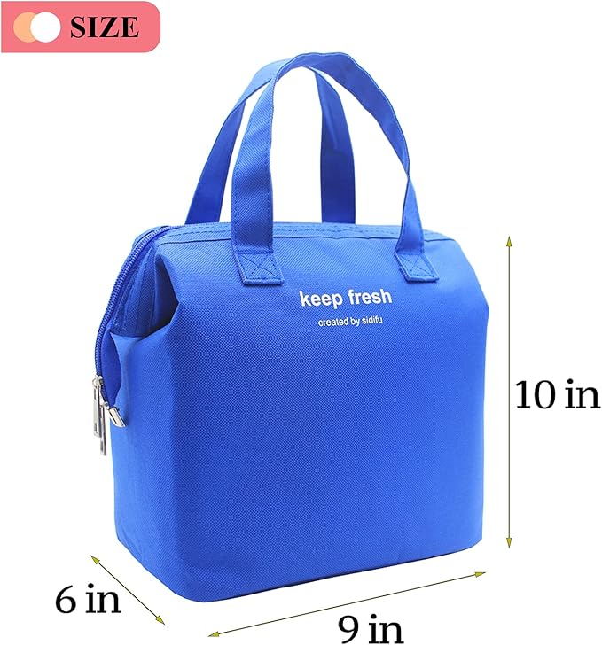 Mziart Insulated Lunch Bag Simple Bento Cooler Bag Lunch Tote Bag for Lunch Box for Women Men Adult Picnic Working Hiking Beach (Blue)