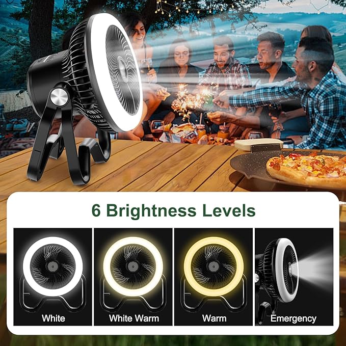 Portable Rechargeable Camping Fan with LED Lantern-40Hrs, Battery Operated Oscillating Fan with Remote, 3 Speeds for Tents, Outdoor, RV, Outage(Black)