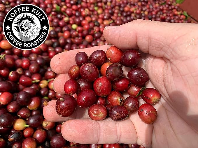 Koffee Kult Thunder Bolt - Whole Bean Coffee, Dark French Roast, 100% Arabica, Robust Blend, Bold Strong Artisan Flavor 12oz Resealable Package