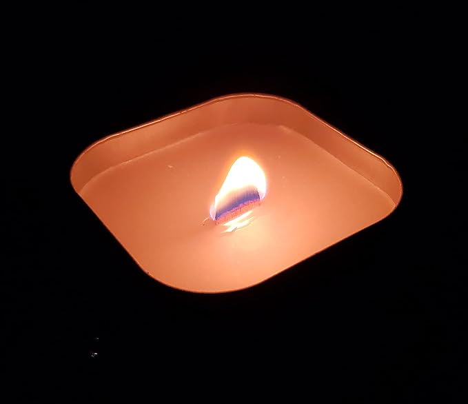 Coleman Pine Scented Citronella Candle with Wooden Crackle Wick - 6 oz Tin