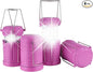 Lichamp 4 Pack Pink LED Camping Lanterns, Battery Powered Camping Lights LED Super Bright Collapsible Flashlight Portable Emergency Supplies Kit, A4PK