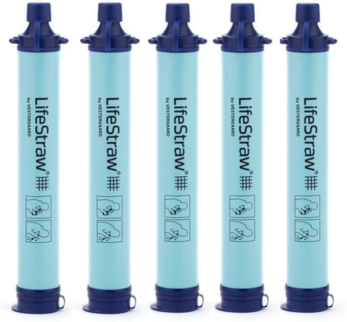 LifeStraw Personal Water Purifier for Hiking, Camping, Travel, and Emergency Preparedness