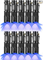 10 Pack Blue LDE Flashlight Blue Flashlight, 1 Mode Blue Light Flashlight, 460nm-470nm Flashlight Blue Light for Night Fishing, Riding
