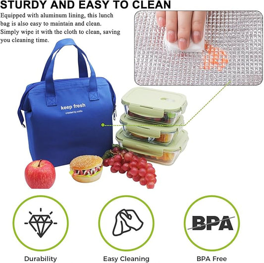 Mziart Insulated Lunch Bag Simple Bento Cooler Bag Lunch Tote Bag for Lunch Box for Women Men Adult Picnic Working Hiking Beach (Blue)