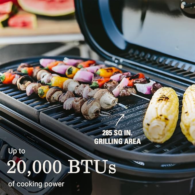 Coleman Gas Grill Portable Propane Grill RoadTrip