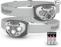 Energizer LED Headlamp PRO (2-Pack), IPX4 Water Resistant Headlamps, High-Performance Head Light for Outdoors, Camping, Running, Storm, Survival LED Light for Emergencies (Batteries Included)