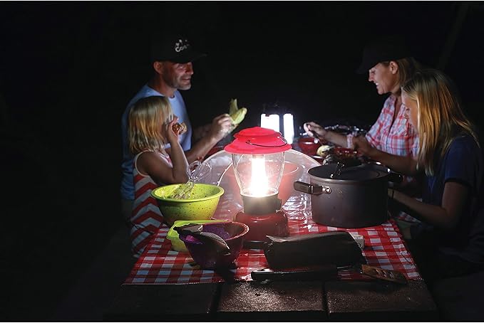 Coleman 4D Battery-Powered Personal LED Lantern, Water & Impact-Resistant with Carabiner Handle, Shines Up to 700 Lumens, Outdoors Camping Essentials