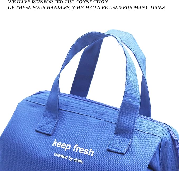Mziart Insulated Lunch Bag Simple Bento Cooler Bag Lunch Tote Bag for Lunch Box for Women Men Adult Picnic Working Hiking Beach (Blue)