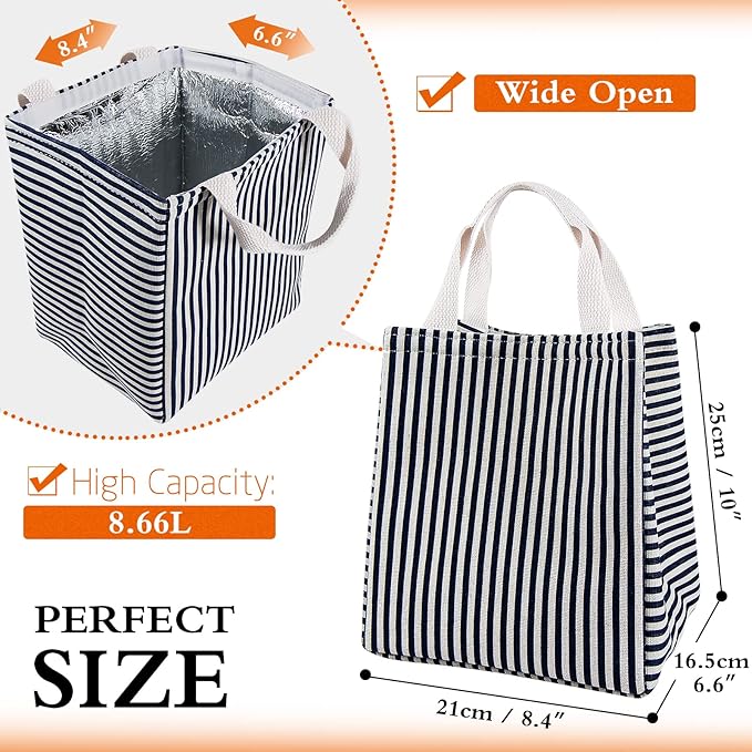 Lunch Bag Insulated Lunch Box for Women Men,Reusable Adult Lunch Tote Bags for Work or Travel (Striped Blue)