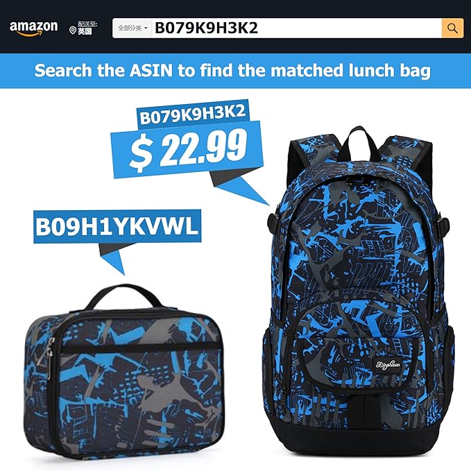 rickyh style Lunch Box with Padded Liner, Spacious Insulated Lunch Bag Durable Thermal Lunch Cooler Pack with Strap for Men Women Boys Girls Adults School Sports Beach Picnic Work Camp,2 Pocket
