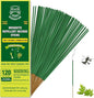 Mosquito Repellent Outdoor Patio 120 PCS Citronella Oil Mosquito Incense Sticks Natural Organic Mosquito Barrier Mosquito Repeller for Backyard Travel Camping Indoors Gnat Mosquito Control