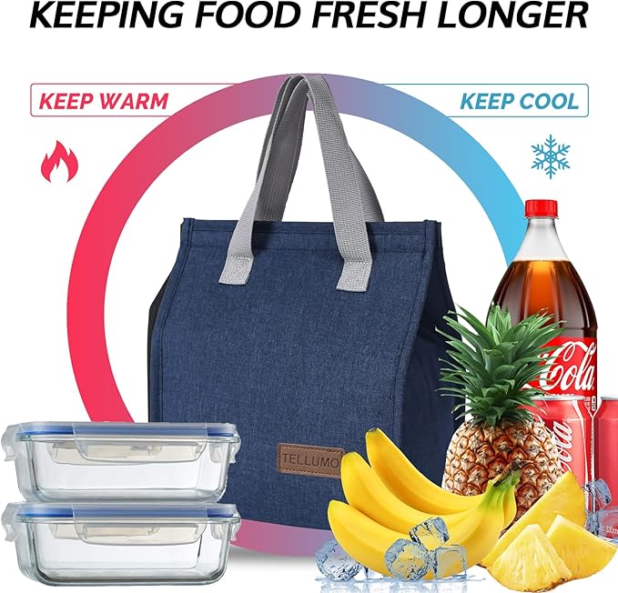 TELLUMO Lunch bag, Insulated Lunch Bag for Women Men Large Lunch Box Container Reusable Leakproof Tote for Office, Work, School, Beach or Travel (Blue)