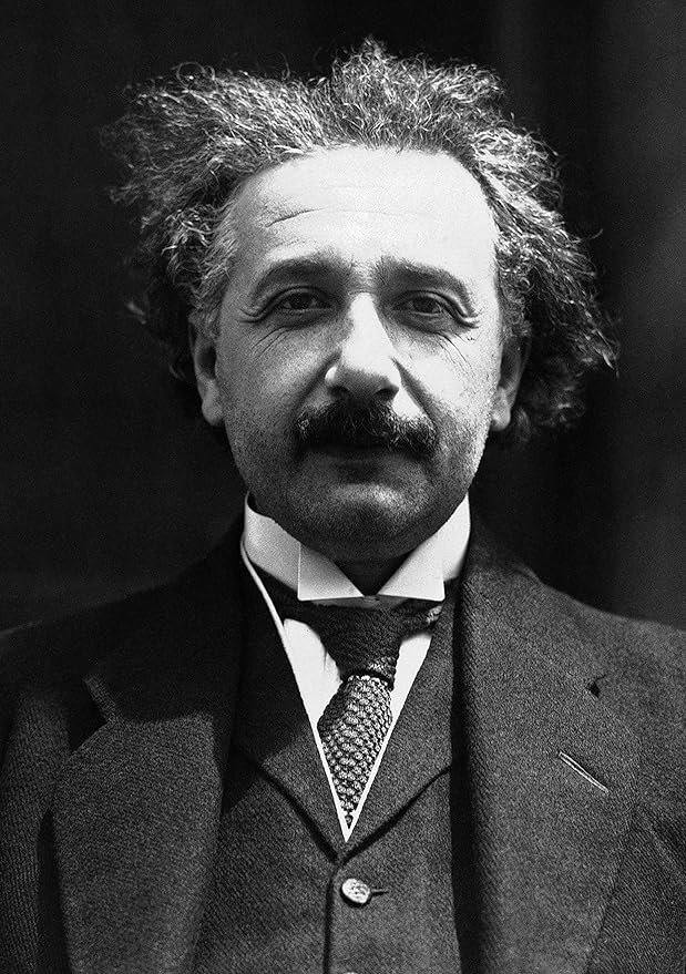 JONESY & JONESY Einstein Dish Display Towel Fabulous GIFT for science nerds